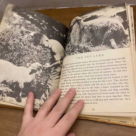 At The Zoo By Cole Merris 1941 - Picture 10 of 12